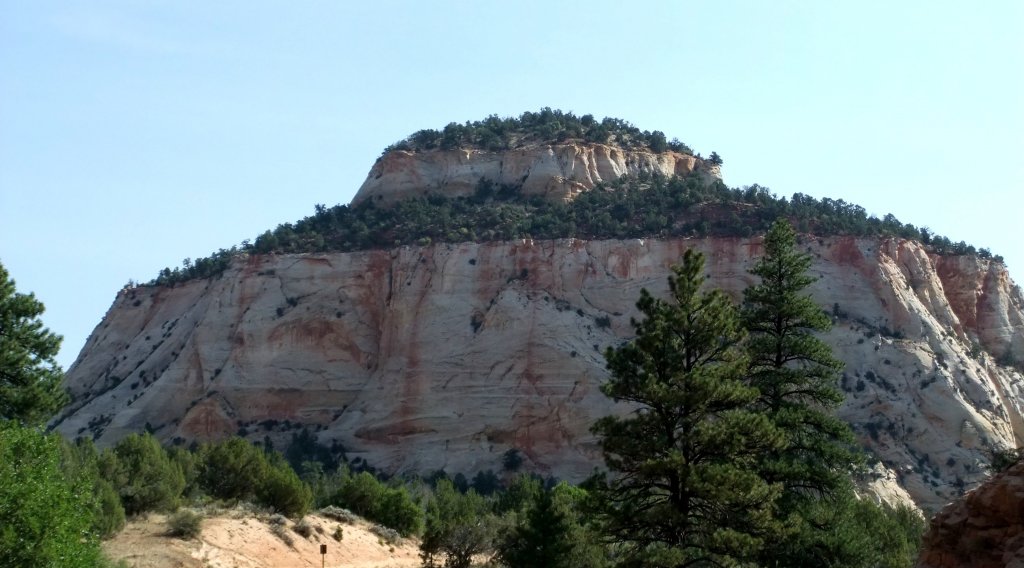 Zion Nationalpark am 16.8.2012