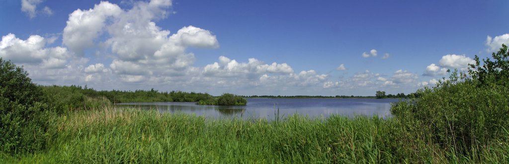 Zuideindigerwijde, ein kleiner See in der Nhe von Giethoorn. Aufgenommen am 26.06.2011.