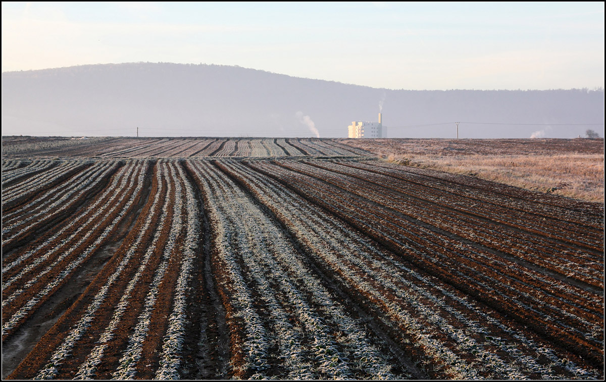 . Die Furchen im Feld und das Hochhaus -

Im Remstal bei Kernen-Rommelshausen.

08.12.2016 (M)