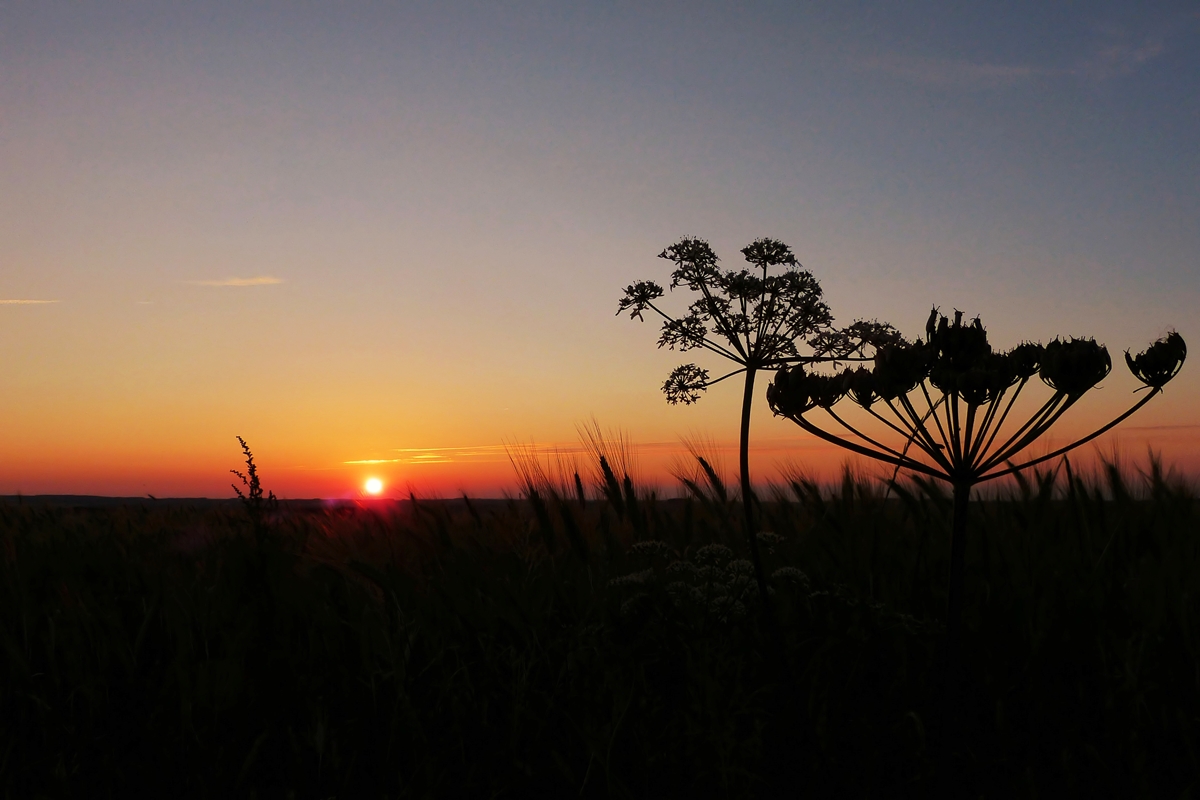 . Ein schner Sommertag neigt sich dem Ende zu . 01.07.2014 (Jeanny)