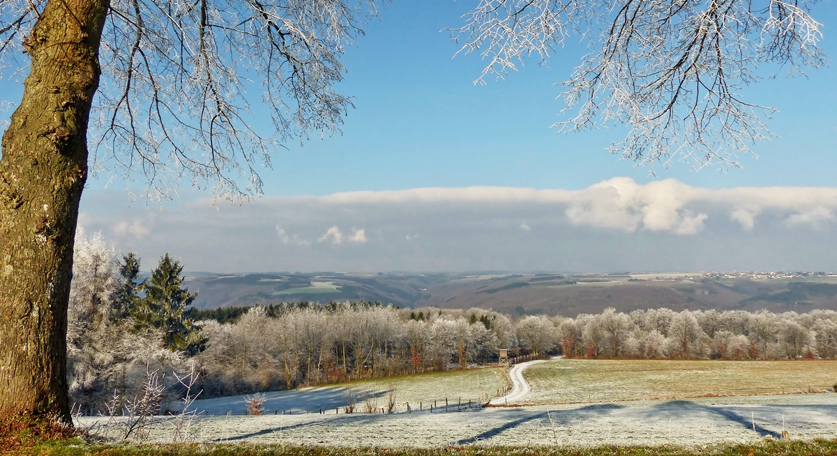 . Heiderscheid (Luxemburg) - Winterliche Aussicht in Richtung Buderscheid und Goesdorf. 20.01.2015 (Jeanny)