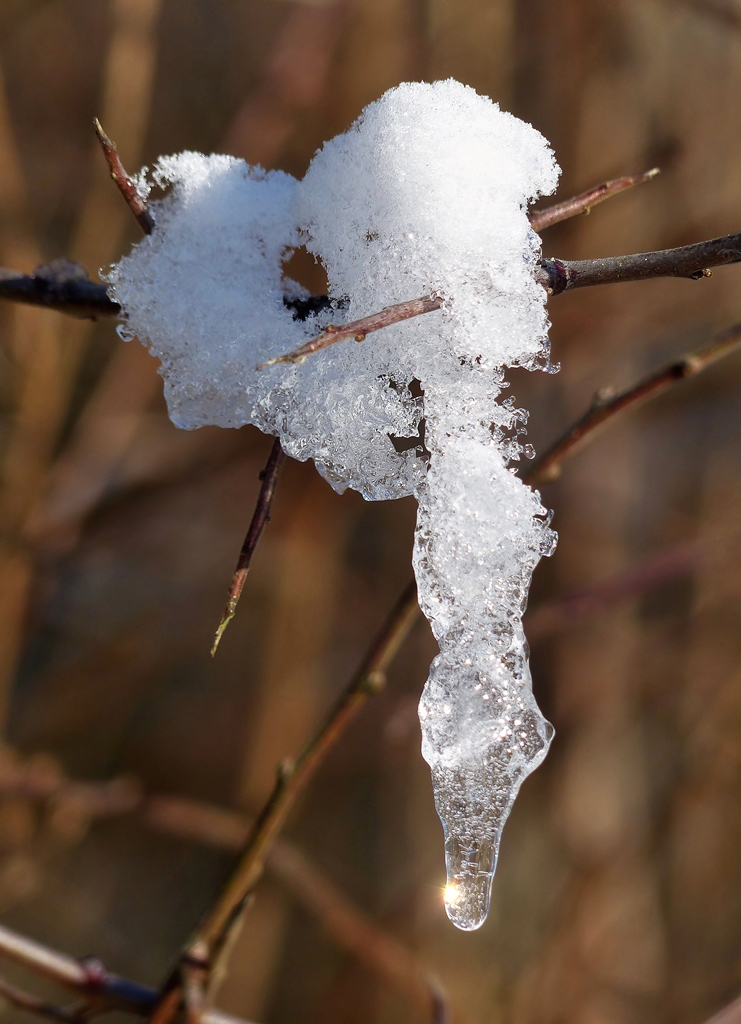 . Maulusmhle (Luxemburg) - Winterliches Kunstwerk entdeckt in der Nhe von Maulusmhle. 28.12.2014 (Jeanny)