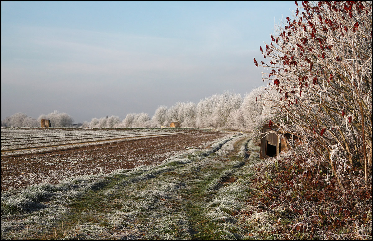 . Nach dem Nebel bleibt der Raureif -

Landschaft im Remstal bei Kernen-Rommelshausen,

06.12.2016 (M)