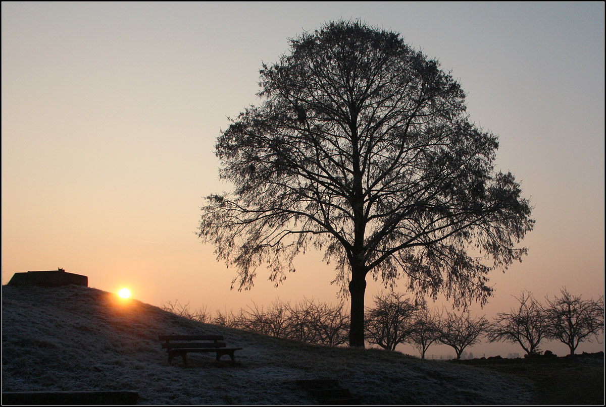 . Sonne und Baum -

Bei Weinstadt-Endersbach am Käppele.

01.01.2017 (M)