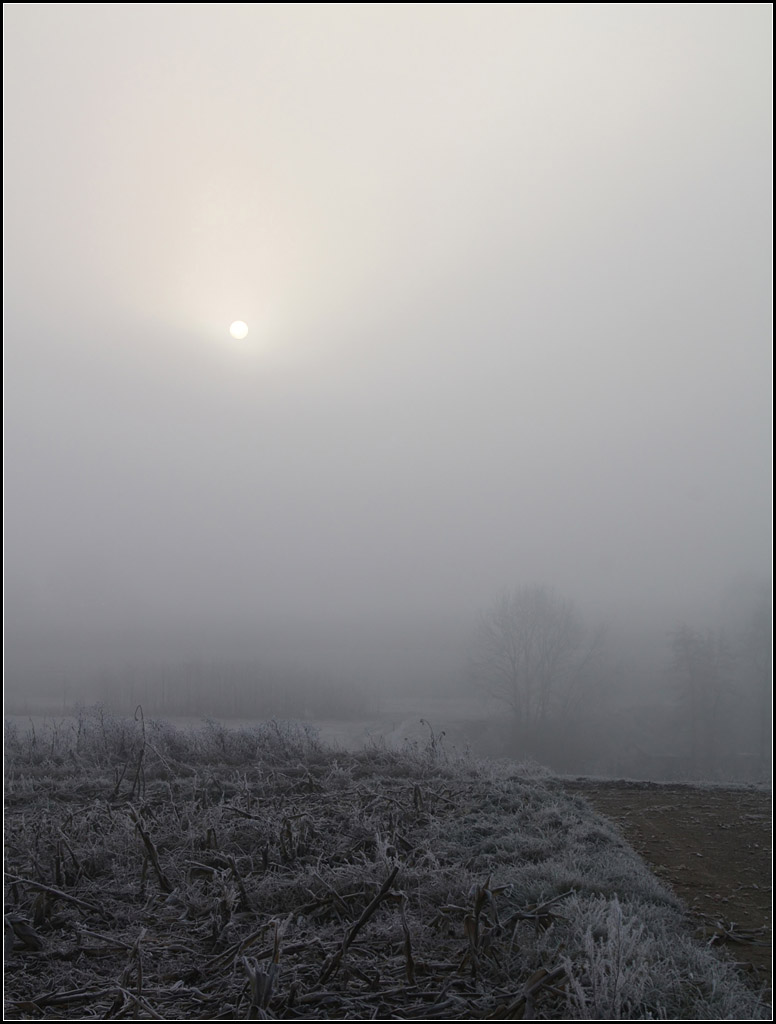 . Sonne, noch im Nebel -

Remstal bei Weinstadt-Endersbach.

06.12.2016 (M)