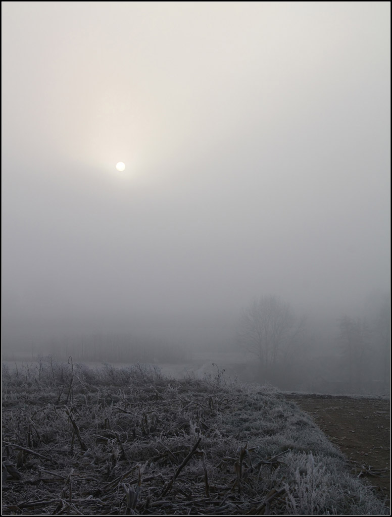 . Sonne, noch im Nebel -

Remstal bei Weinstadt-Endersbach.

06.12.2016 (M)