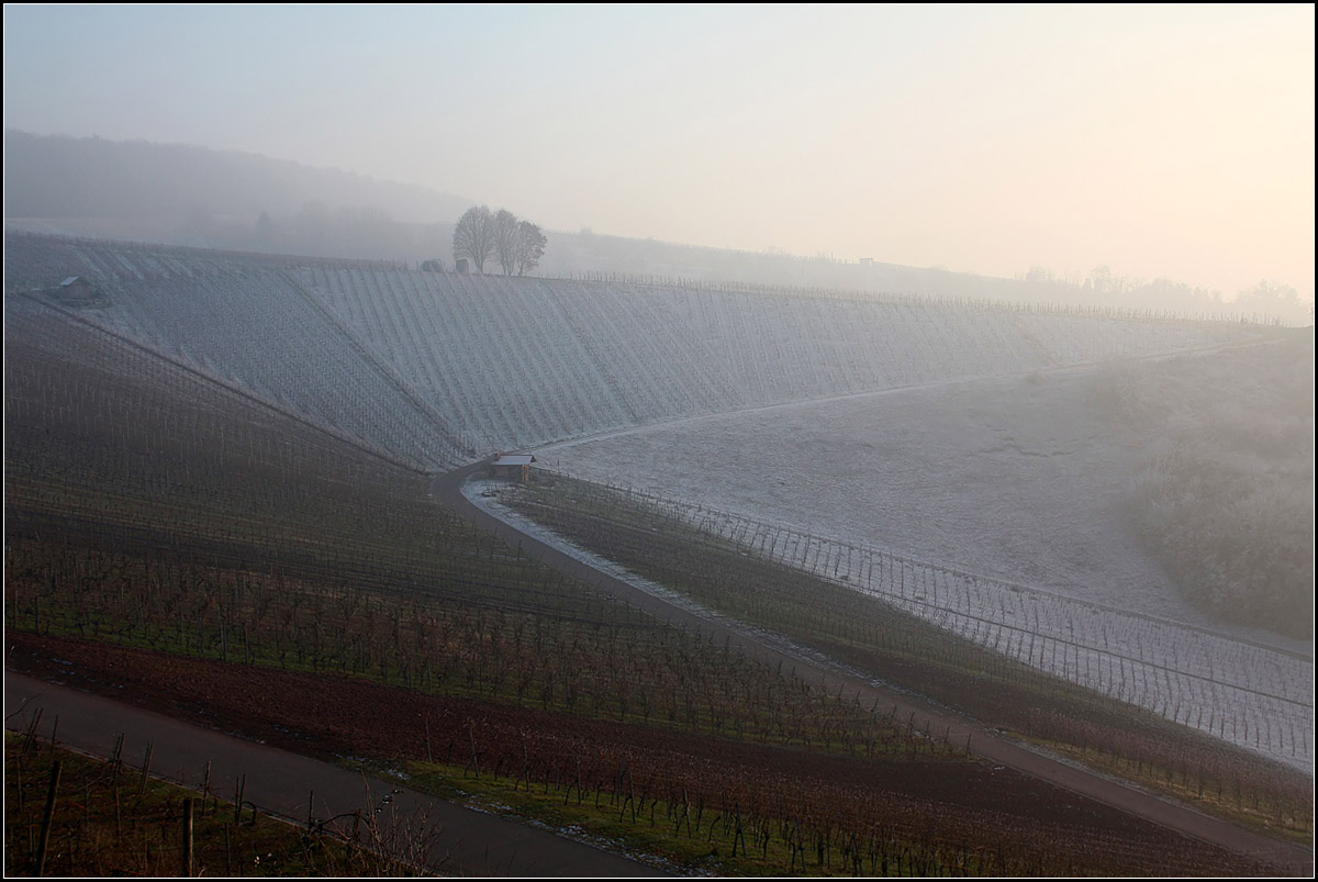 . Von grün nach weiß -

Je nachdem, ob der Hang von der Sonne erreicht wird oder nicht. Blick vom Schützenhüttle beim Landgut Berg auf die Weinberglandschaft. Der Höhenzug liegt zwischen Weinstadt-Beutelsbach und Weinstadt-Strümpfelbach.

01.01.2017 (M)