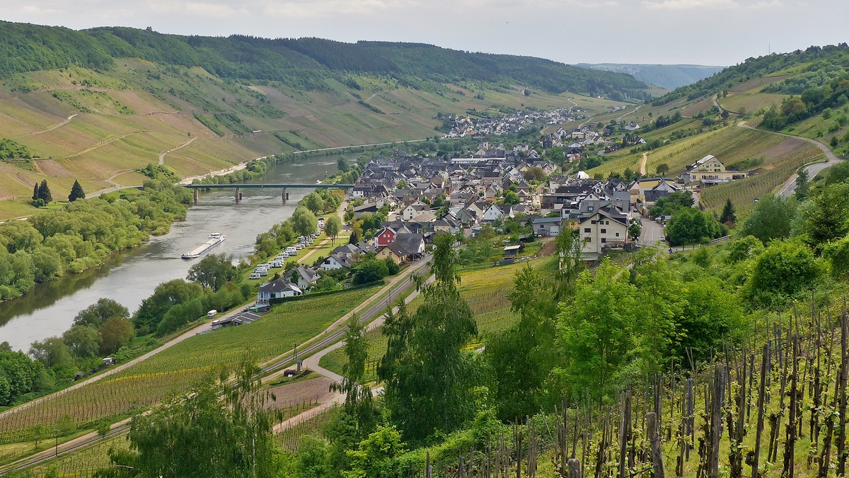 . Wunderschnes Moseltal - In den Weinbergen in Reil hat man einen herrlichen Ausblick auf das Moseltal mit den Orten Reil und Burg (Mosel). 13.05.2015 (Jeanny)