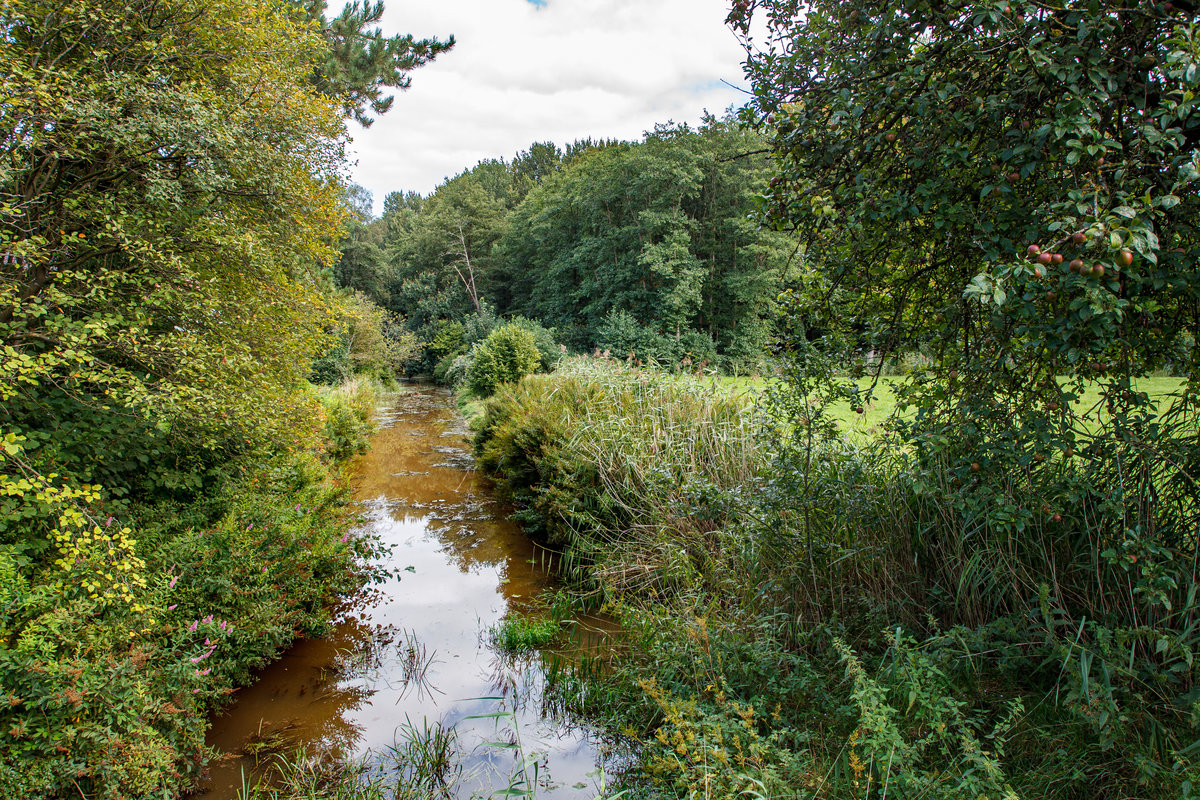 10.9.2020 - Das Zetere Tief eingebettet in schöner Landschaft. Ortsausgang Zetel Richtung Bockhorn