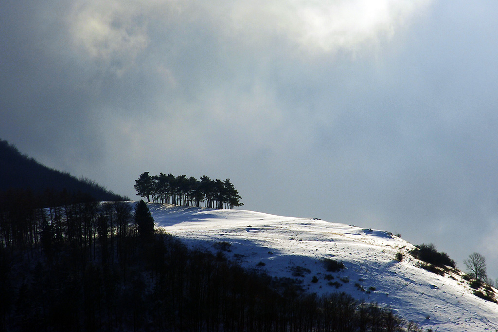 17.01.2016 Am Albtrauf unterhalb der Burg Teck