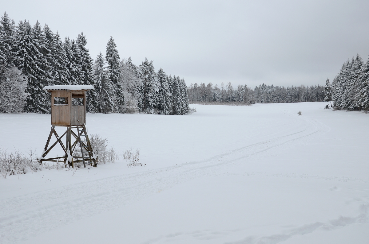 18. Februar 2018: Winter auf dem Meßstetter Berg.
