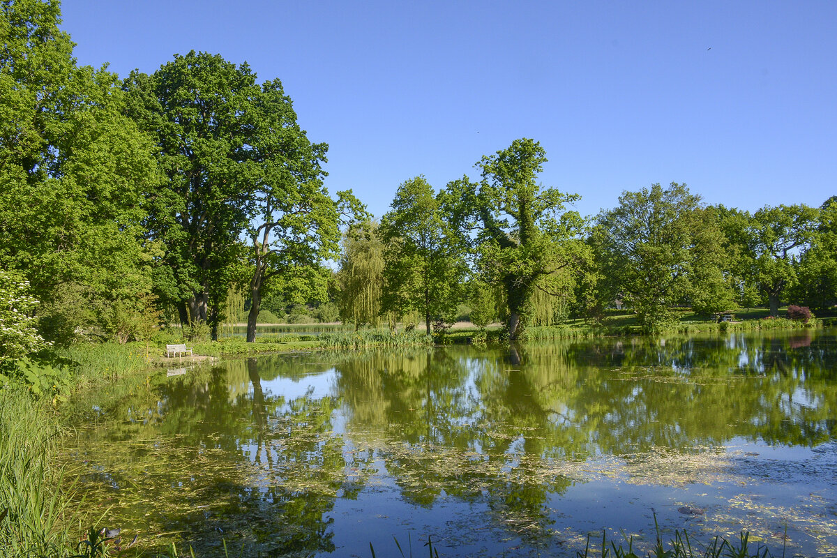 »Billeddammen« im Schlosspark von Gravenstein in Nordschleswig (dänisch Gråsten / Sønderjylland). Aufnahme: 9. Juni 2021.