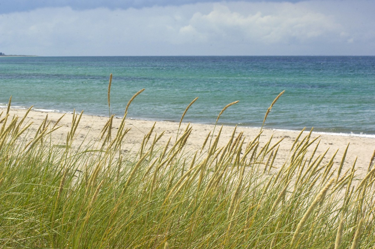 Østerby Strand auf der Insel Læsø. Aufnahmedatum: 6. Juli 2012.