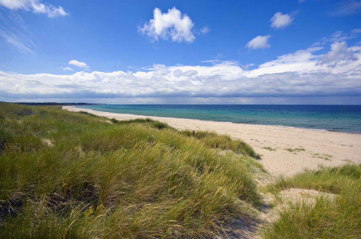 Østerby Strand auf der Insel Læsø. Aufnahmedatum: 6. Juli 2012.