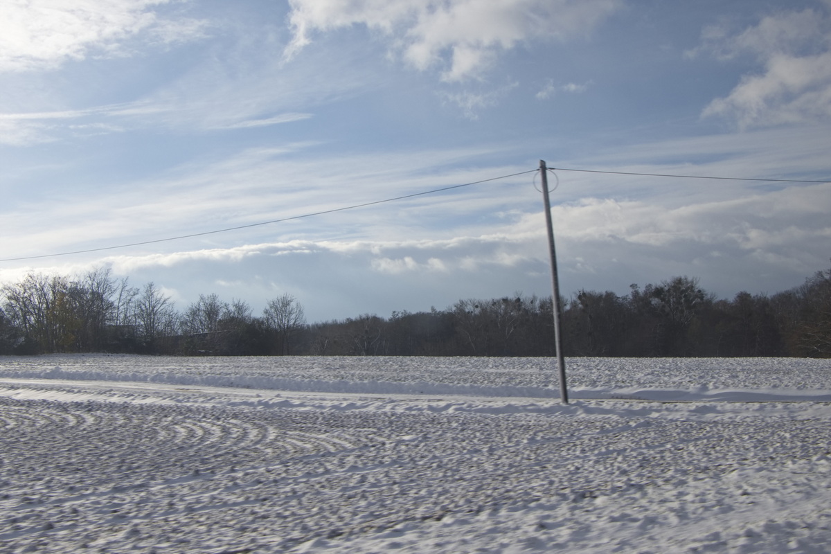 29. November 2023 Winterlandschaft bei Goslar an der Nordharzstrecke.