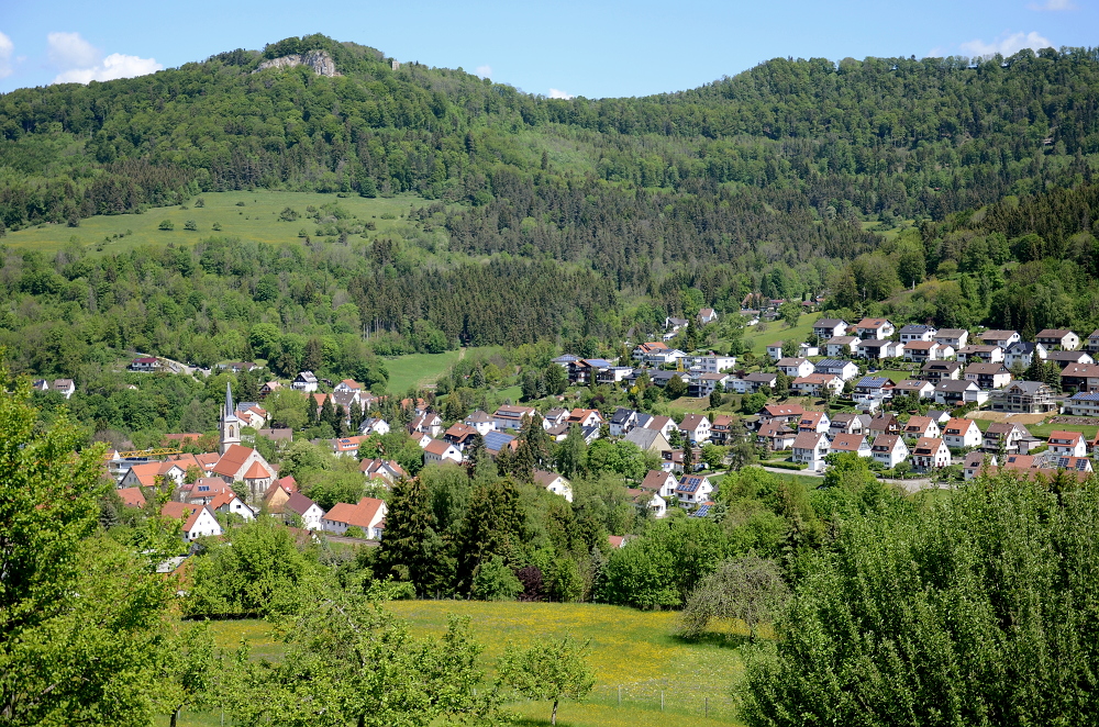 30. Mai 2019:
Blick von den  Fürstäckern  über Albstadt-Laufen zur Schalksburg.