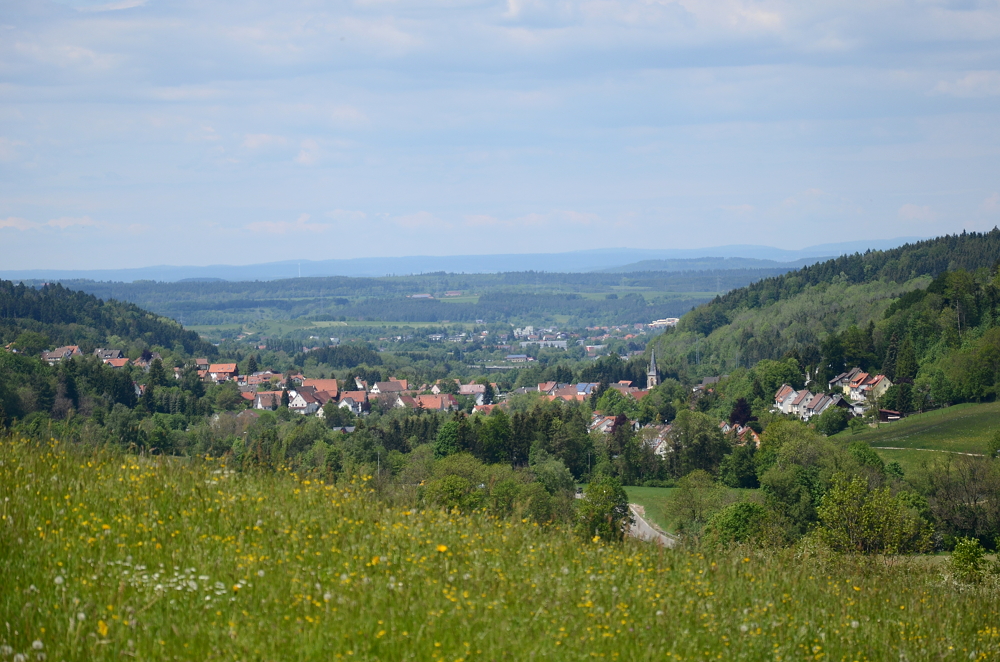 30. Mai 2019:
Blick von den  Räuten  bei Albstadt-Lautlingen ins Eyachtal. Ganz im Hintergrund ist der Schwarzwald zu erkennen.