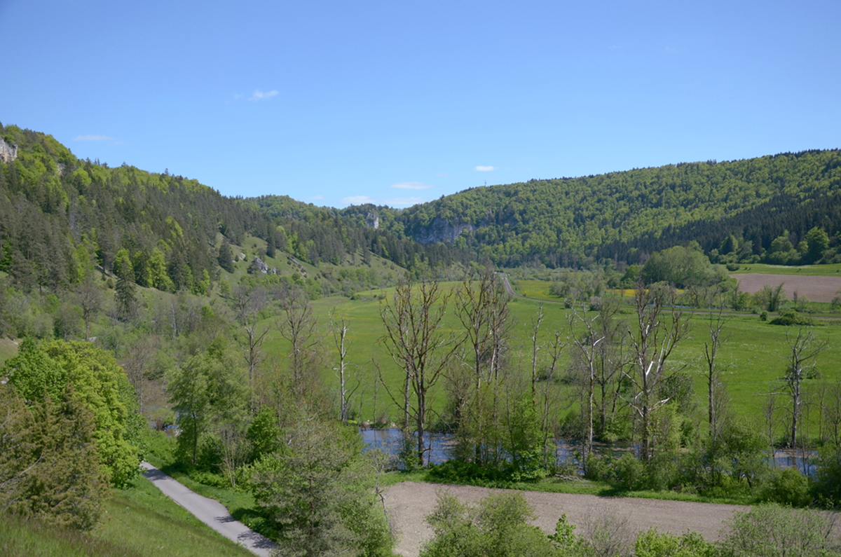 30. Mai 2021:
Das Donautal bei Mühlheim/Donau. Im Vordergrund ist der Wulfbach zu sehen.