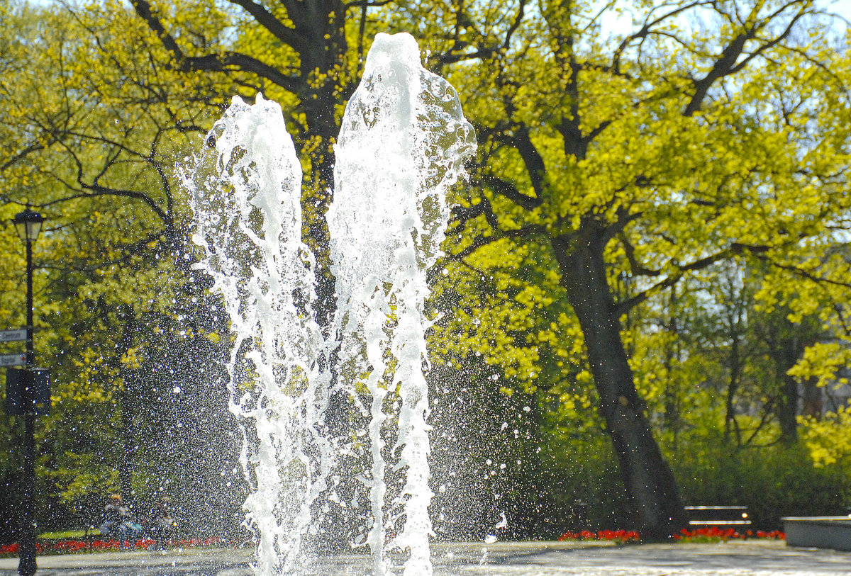 Świnoujście - Springbrunnen im Swinemünde Kurpark. Aufnahme: 7. Mai 2016.