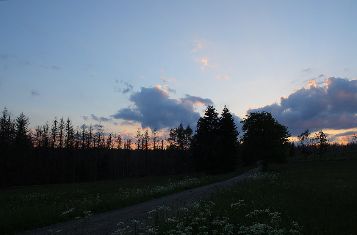 Abendglühen über den Wiesen am ehemaligen Forsthaus am Brunnenbach; Aufnahme vom 11.06.2022...