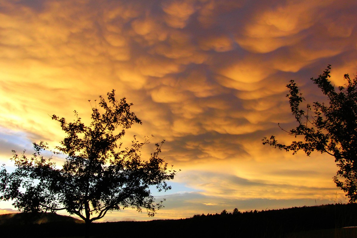 Abendhimmel am  Weinberg  bei Bischwind a.R. mit seltenen Mammatuswolken am 14.9.2015