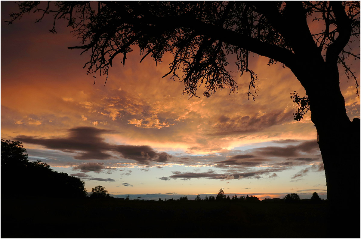 Abendhimmel - 

bei Kernen-Rommelshausen, 07.08.21 (M)