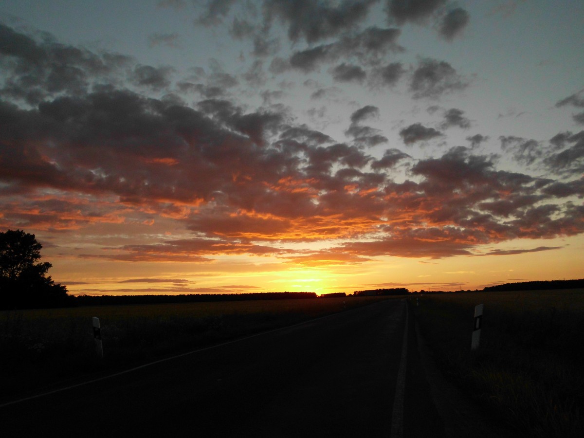 Abendlich Stimmung am 23.06.2012 bei Falkenberg/Elster