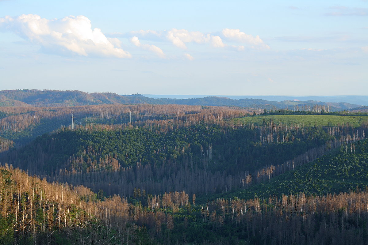 Abendlicher Blick von den Hahnenkleeklippen über Berge des Südharzes bis zum Thüringer Becken am Horizont jenseits des Harzes; 11.06.2022