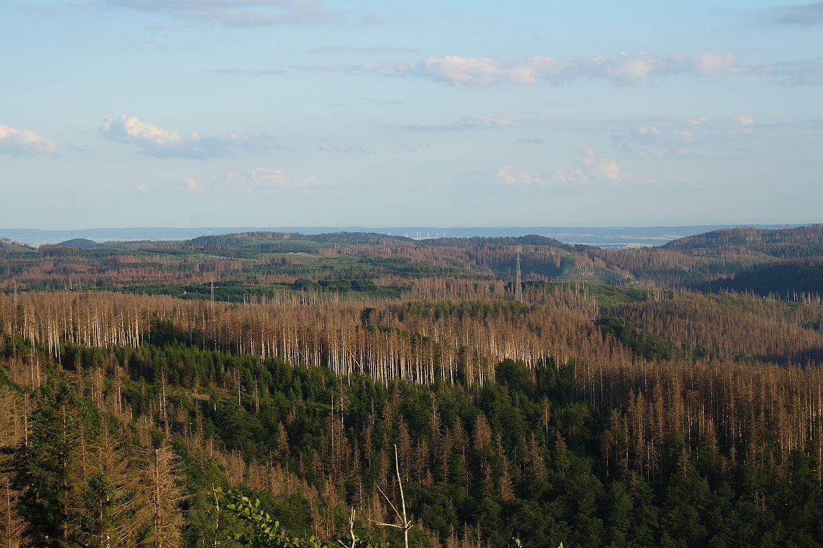 Abendlicher Blick von den Hahnenkleeklippen über die Berglandschaft rund ums Odertal bis zur Hainleite in Thüringen am Horizont; ganz zart gerade noch zu erkennen in der rechten Bildhälfte über der Hainleite die Silhouette des Thüringer Waldes, über 100 km entfernt. 11.06.2022...