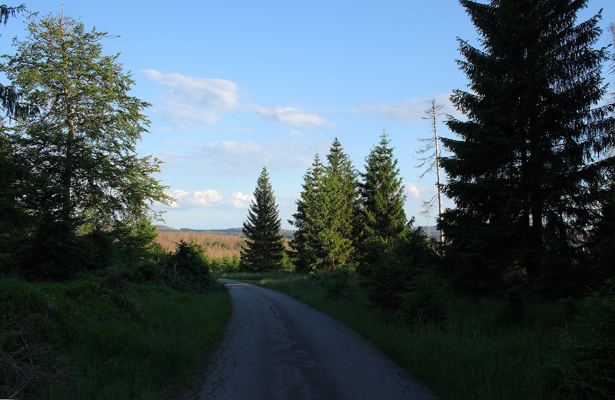 Abendlicher Blick von der Hahnenkleer Waldstraße bis zu Bergreihen des Südharzes im Hintergrund, Aufnahme vom 11.06.2022...