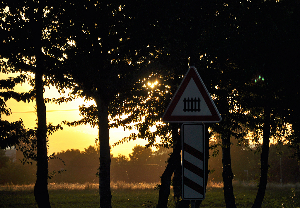 Abendlicht durch die Bume mit Dunstbildung bei Euskirchen - 04.08.2013