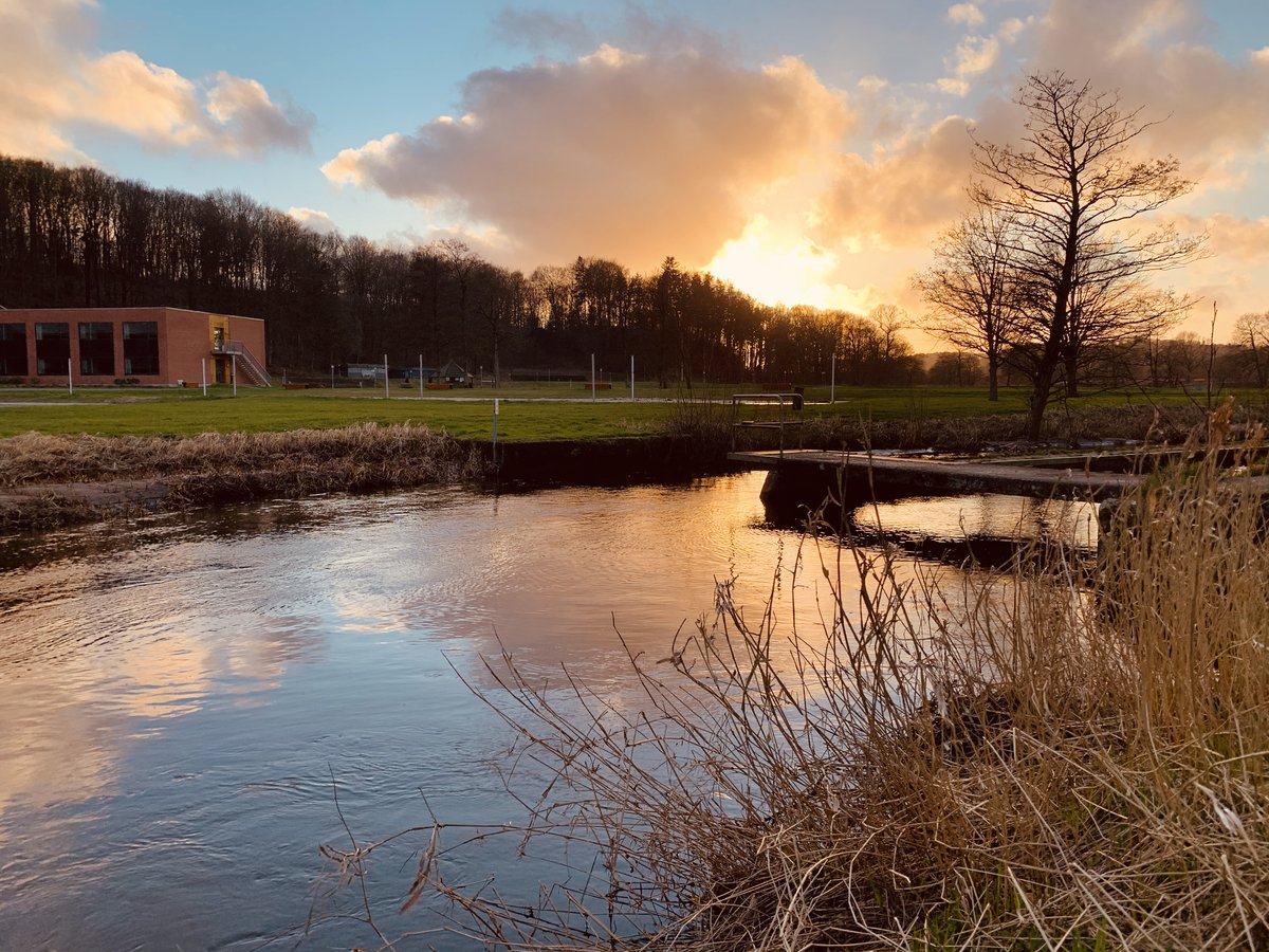 Abendstimmung am Fluss Vejle Å in Vingsted in Südjütland. Aufnahme: 11. März 2020.