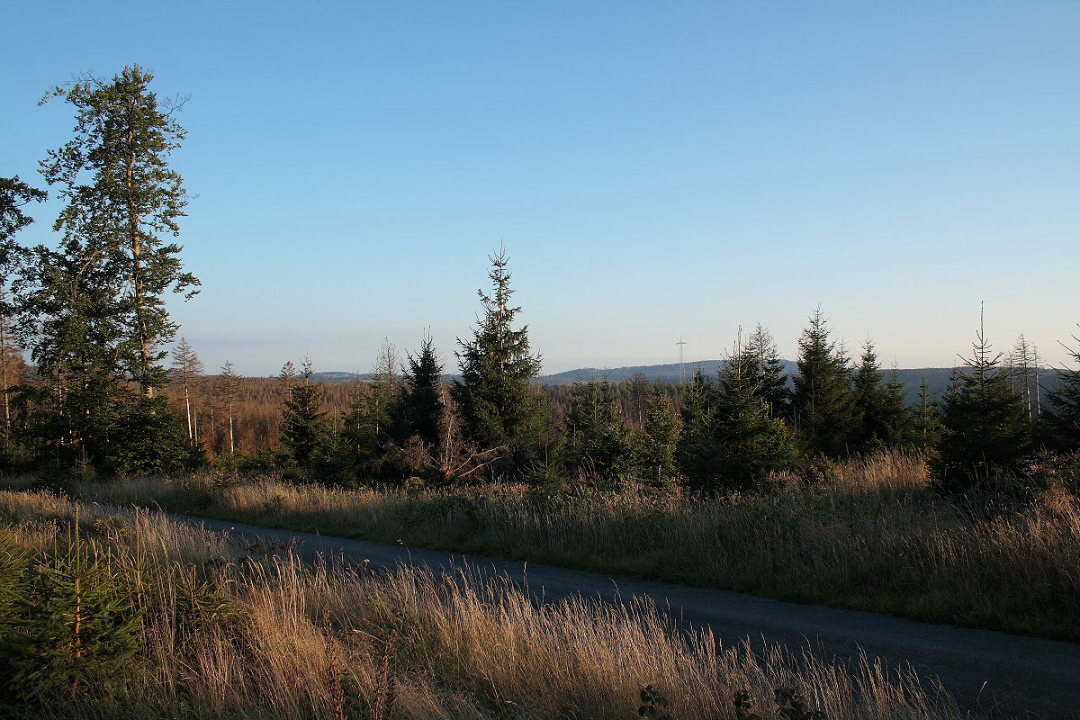 Abendstimmung an der Hahnenkleer Waldstraße; Aufnahme vom 03.09.2021...