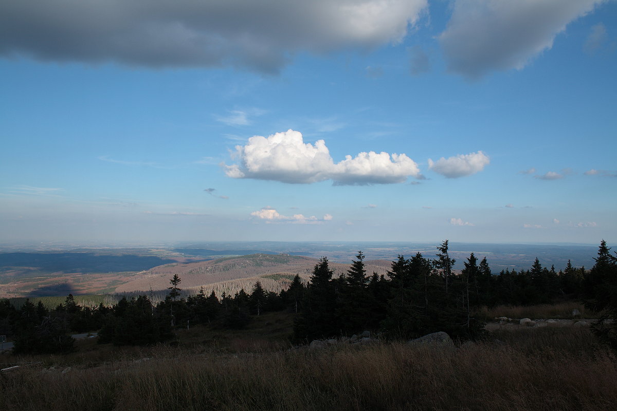 Abendstimmung auf dem Brocken mit Blick Richtung Ostharz; zu sehen sind die ungeheuren Waldschäden auf den Hohneklippen. Man muss sagen, dass überall, wo die Baumskelette stehen, auch schon am Boden der neue Jungwald da ist. Der sterbende und irgendwann vermodernde Wald bereitet im wahrsten Sinne des Wortes dem Jungwald den Boden, indem er diesen düngt und entsäuert...  