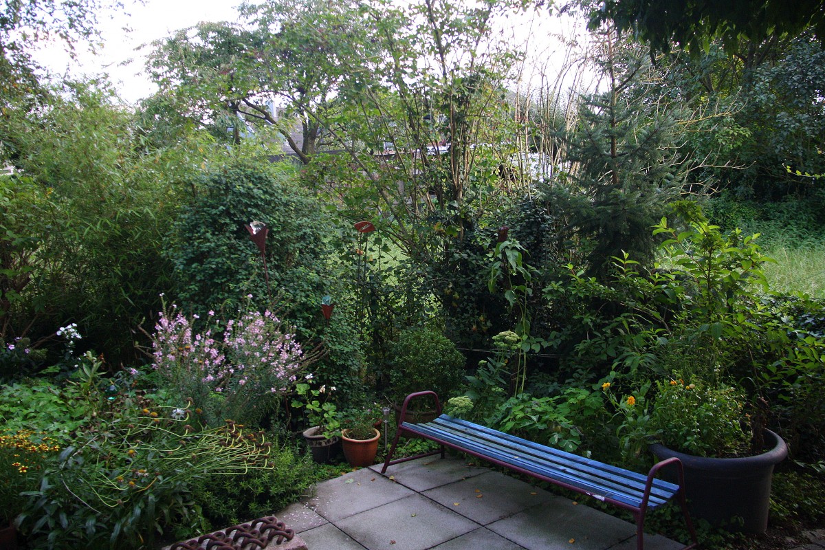 Abendstimmung im Garten in Kohlscheid-Bank am 27.8.2014.