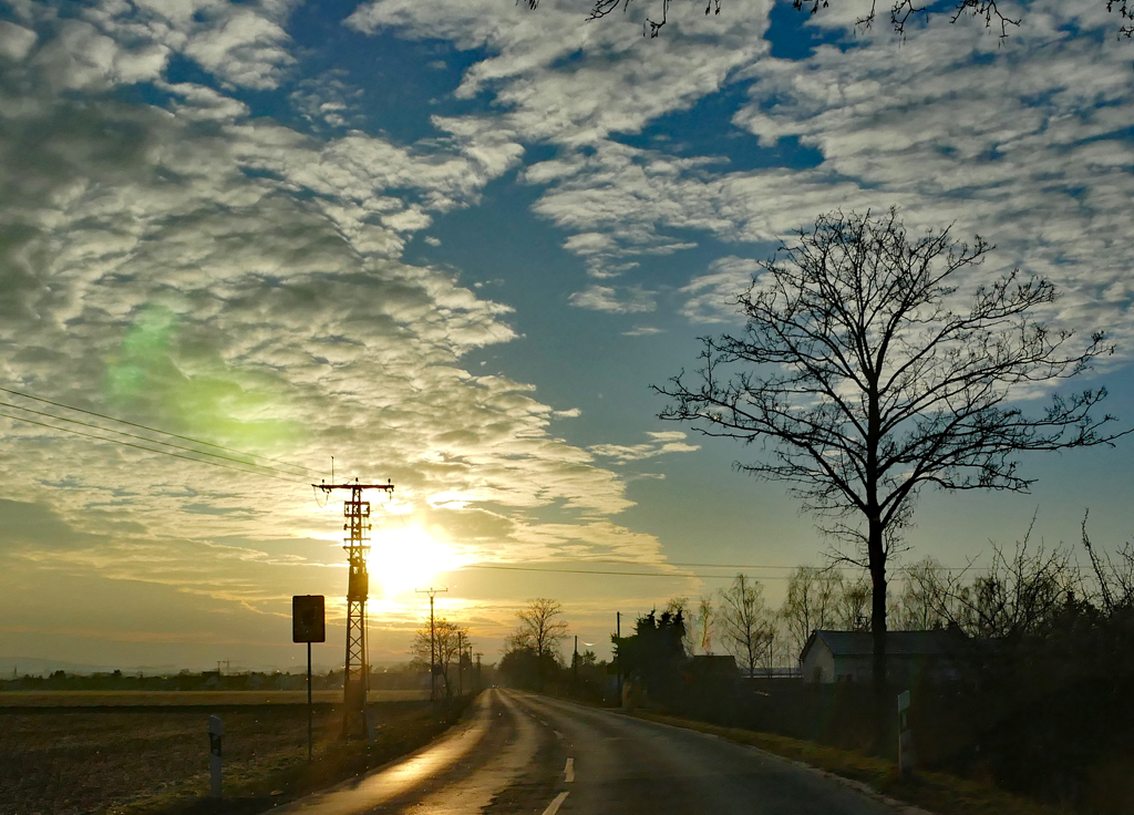 Abendstimmung, Gegenlicht - bei Euskirchen - 18.01.2017