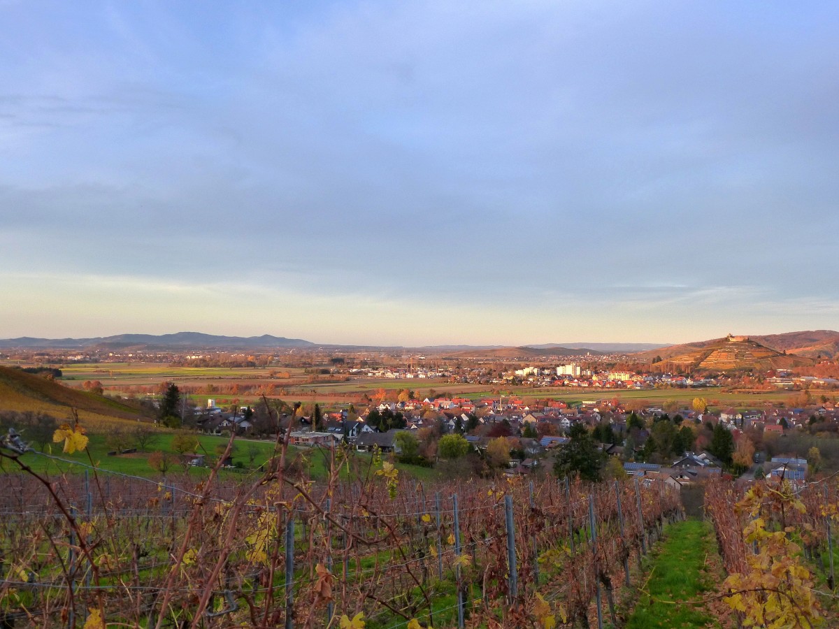 Abendstimmung im Markgrflerland, links am Horizont der Kaiserstuhl, rechts das Stdtchen Staufen mit dem Burgberg, im Vordergrund der Ort Grunern, Nov.2015