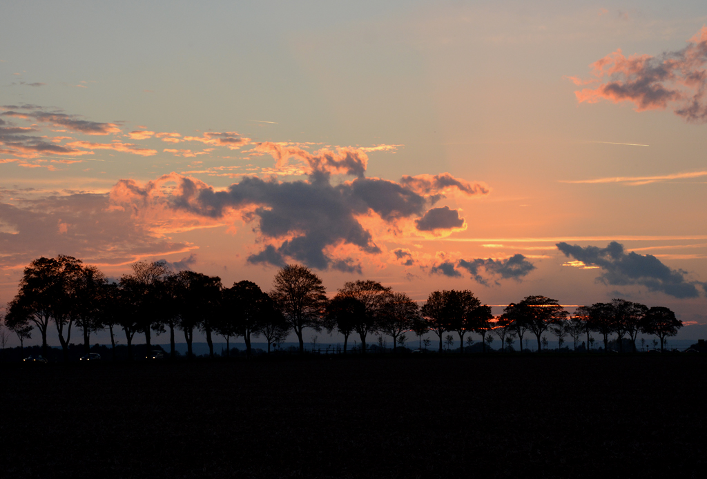 Abendstimmung mit Baumgruppe als Schattenriss bei Heimerzheim - 19.10.2014