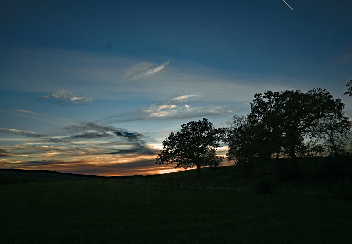 Abendstimmung mit Baumgruppe beim Sonnenuntergang in der Eifel - 11.11.2022