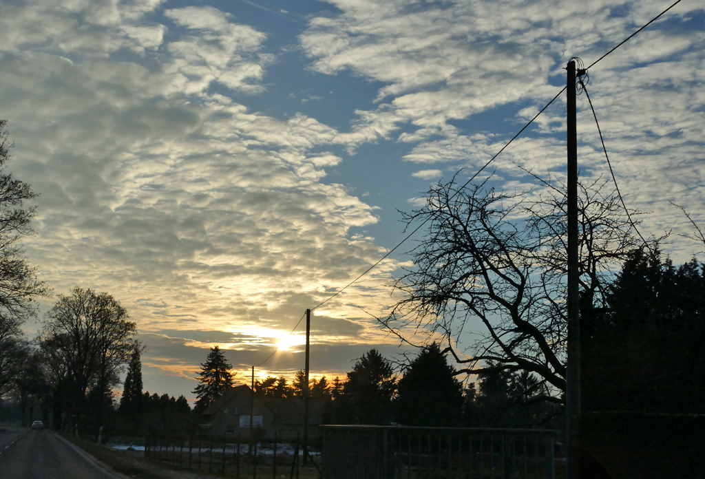 Abendstimmung mit Gegenlicht, Bäume, Wolken, in der Voreifel 18.01.2017