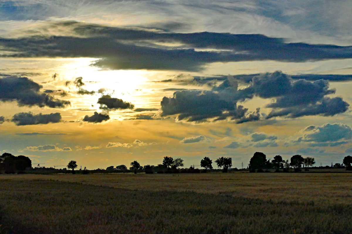 Abendstimmung mit Schattenriss der Bäume in der Voreifel bei Euskirchen - 27.06.2020