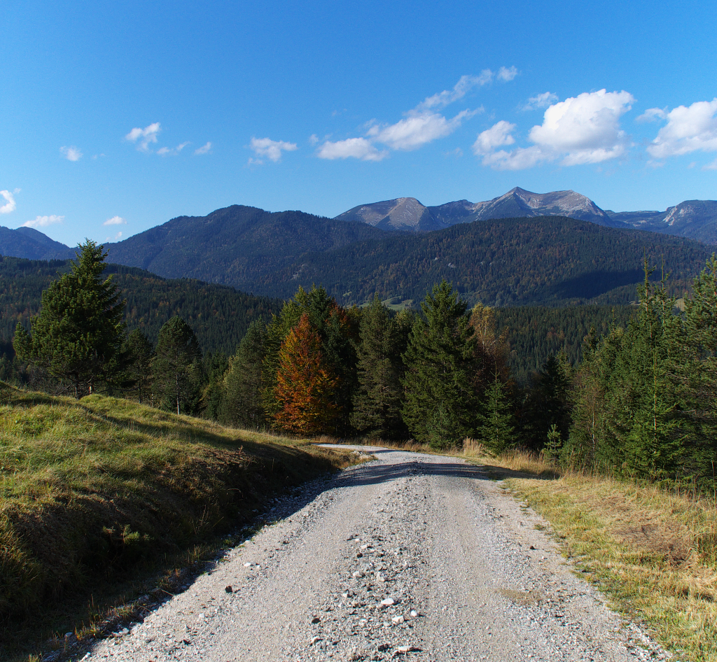 Abwärts....Nach unserer Wanderung zum Wildensee und zum Ehrenmal der Gebirgsjäger bei Mittenwald ging es langsam wieder in Richtung Klais und Am Quicken.
4 Stunden waren wir bis jetzt unterwegs und wir machten uns wieder auf den  Abstieg  mit einem tollen Blick auf das Estergebirge. 06.10.2014