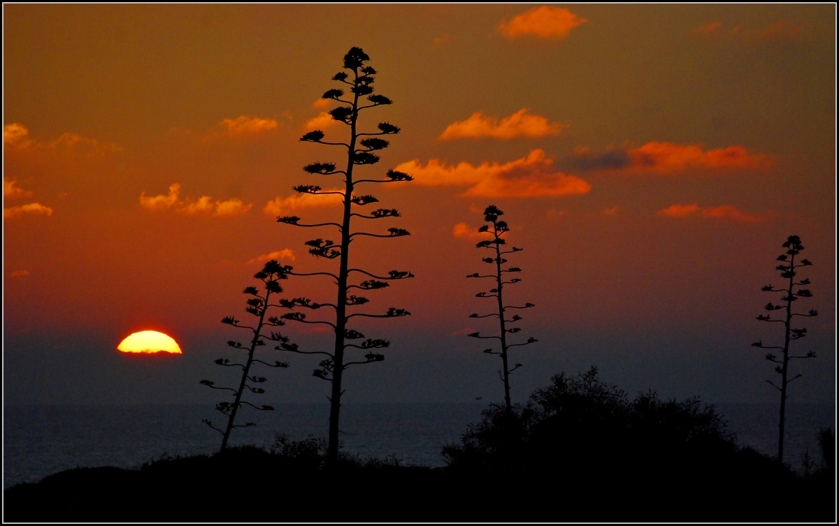 Algarve in der Weihnachtszeit. 

Fast einsame Kste bei Seismarias im Dezember 2007.