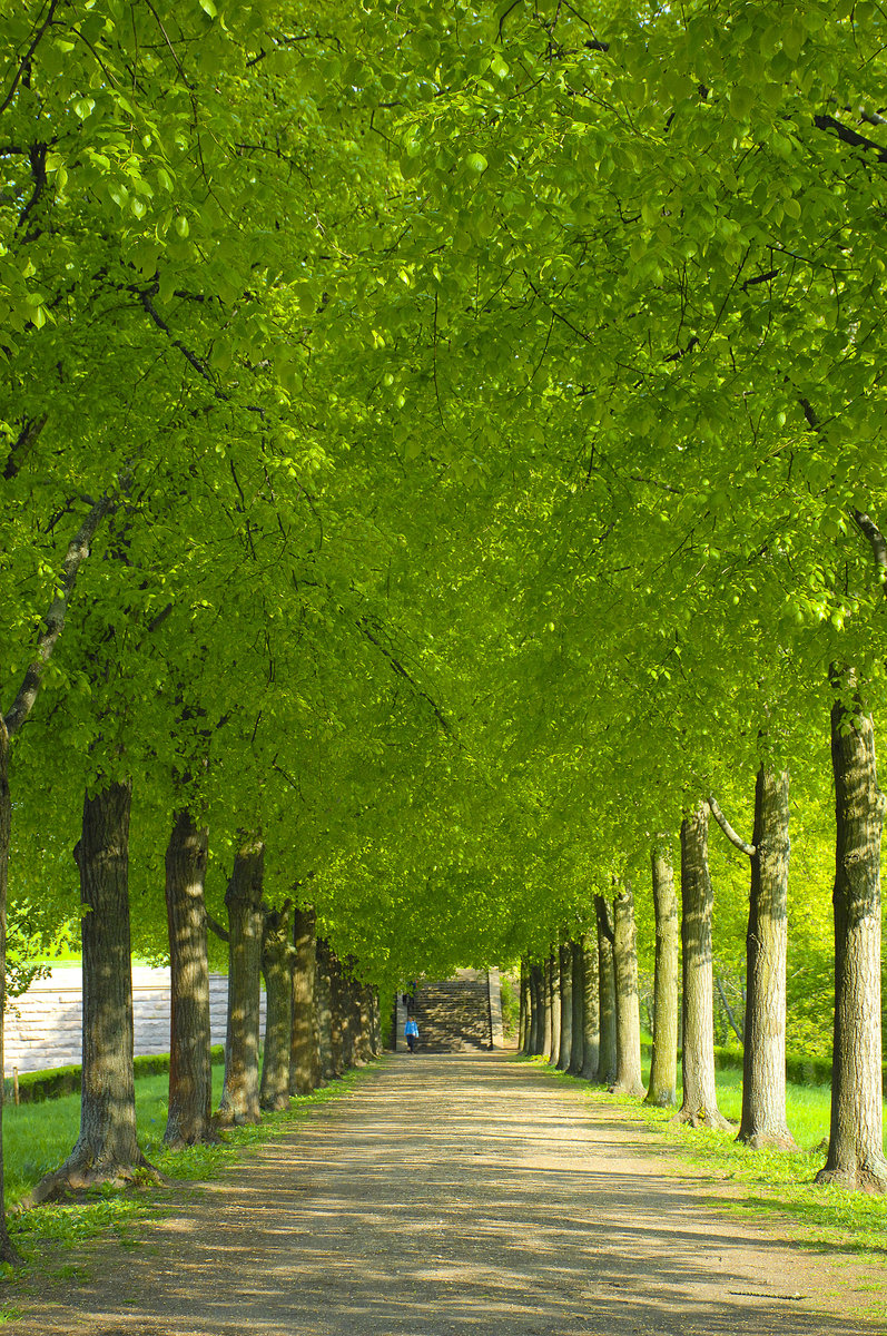 Allee am Völkerschlachtdenkmal in Leipzig. Aufnahme: 30. April 2017.