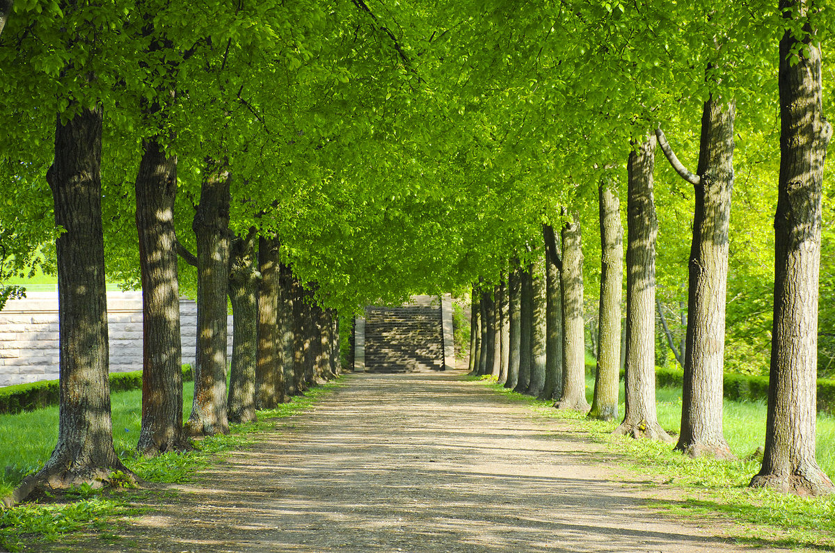 Allee am Völkerschlachtdenkmal in Leipzig. Aufnahme: 30. April 2017.