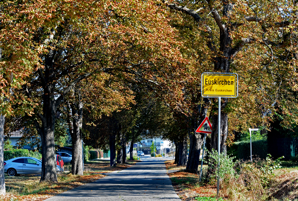 Alleestraße mit  Eingangsschild  Euskirchen - 15.09.2016