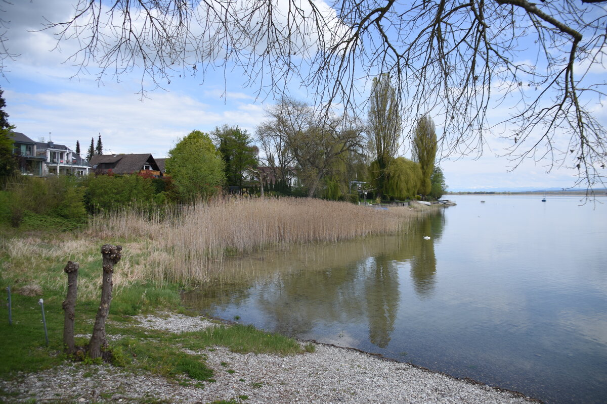 ALLENSBACH, 27.04.2023, am Bodensee