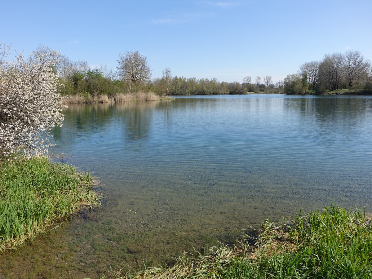 Allmendweiher bei Dettingen an der Iller (26.04.2021)