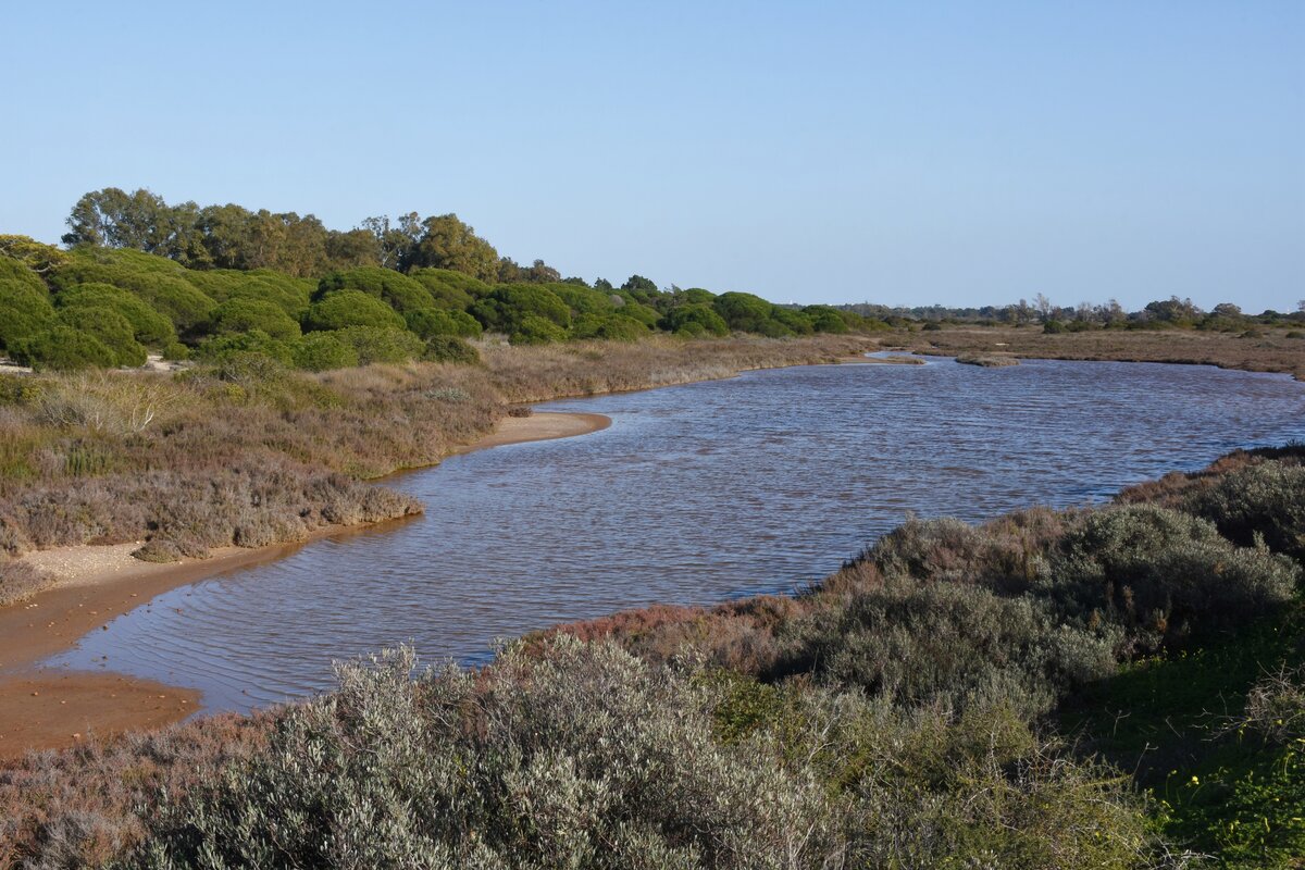 ALMANCIL, 28.01.2022, auf dem Ludo-Trail, einem mehrere km langen Weg durch die Ria Formosa, der von Almancil bis zum Flughafen Faro reicht und auf dem sich Jogger, Biker und normale Fußgänger bewegen können