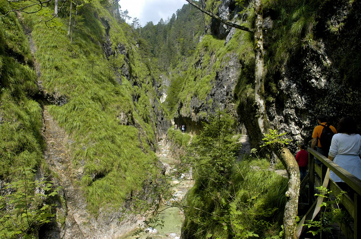 Almbachklamm im Berchtesgadener Land - An der knapp drei Kilometer langen zauberhaften Strecke durch die wildromantische Schlucht gibt es viele schattenspendende Bäume und Wasser, das die Luft abkühlt. Aufnahme: Juli 2008.